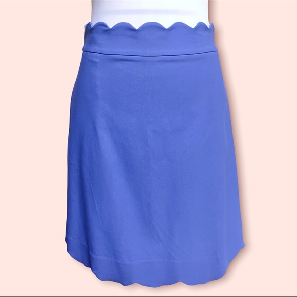 NWT JMcL / J.MCLaughlin Cameron Skirt Size 4 - Picture 2 of 8